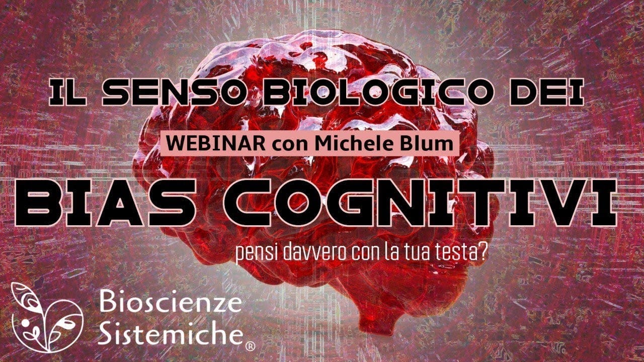 YouTube video preview image